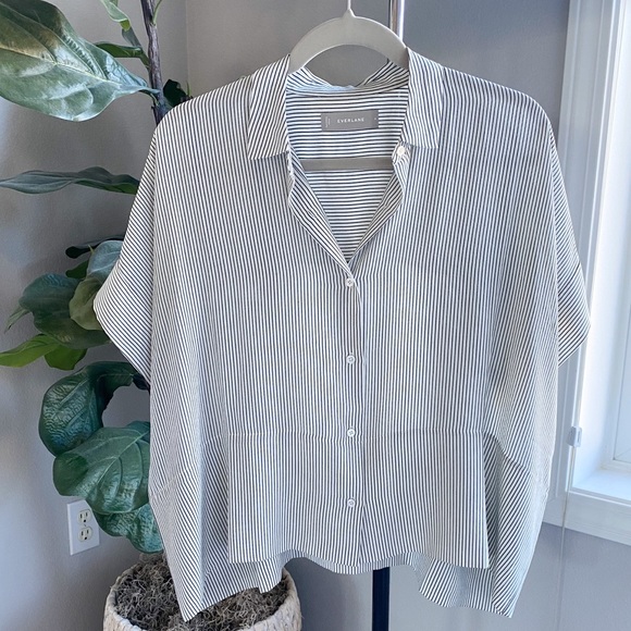 Everlane Tops - Everlane Striped Silk Square Shirt